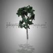Eucalyptus à l'unité 1:100 - arbre maquette
