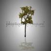 Platane à l'unité 1:100 - arbre maquette