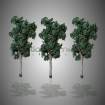 Marronnier 1:150 - lot de 3 - arbre maquette