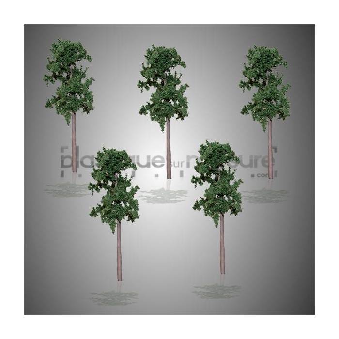 Pin sylvestre 1:200 - lot de 5 - arbre maquette